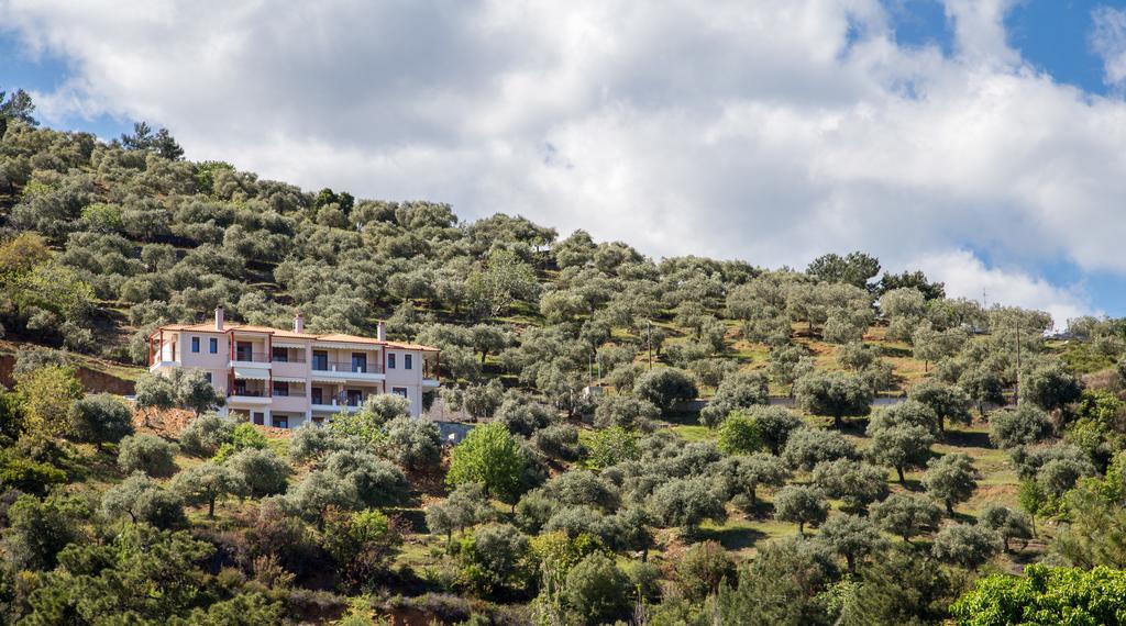 Aphrodite Villas Койнира Екстериор снимка